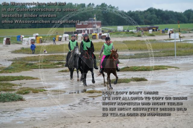 s_K3F04913.JPG